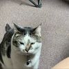 emmak54321